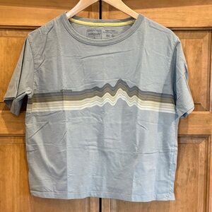 Patagonia Mountain Horizon Graphic Tee in Sage Green/Gray Crop Length size Small